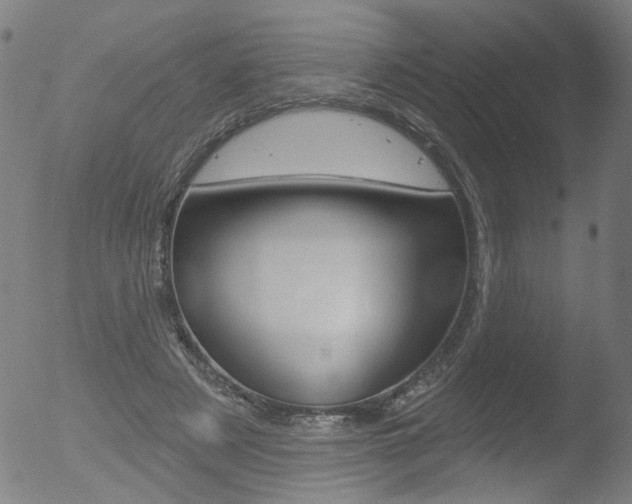 X0000052980497200507080900