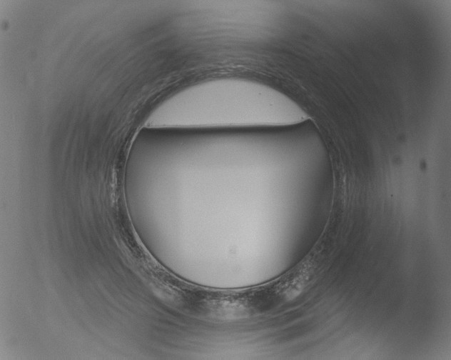 X0000052980498200507080900