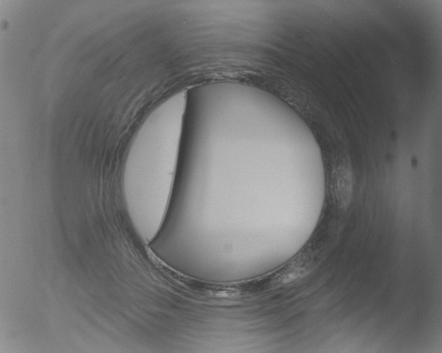 X0000052980506200507080900