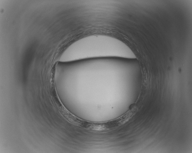 X0000052980507200507080900