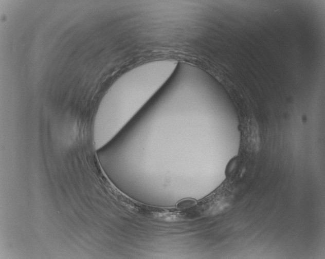 X0000052980511200507080900