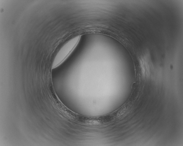 X0000052980649200507080857