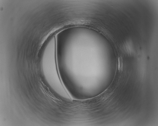 X0000052980723200507080855