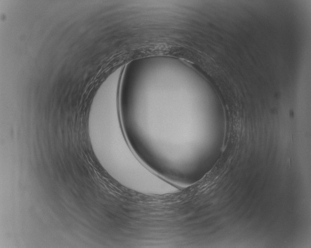 X0000052980818200507080854