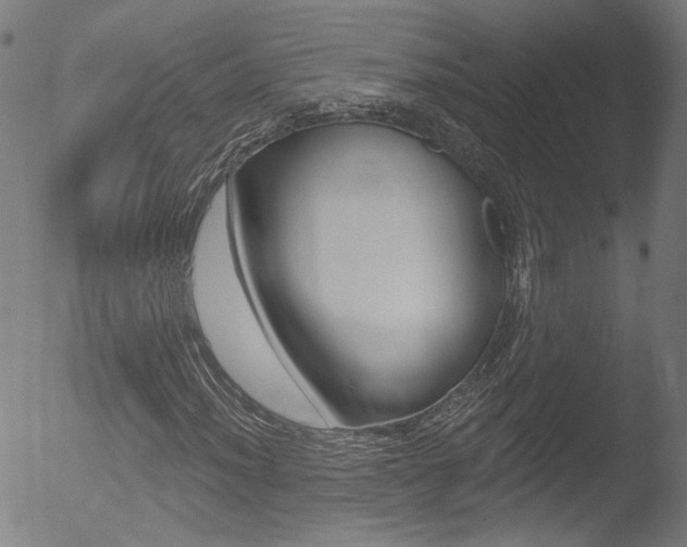 X0000052981012200507080851