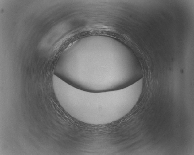 X0000052981063200507080851