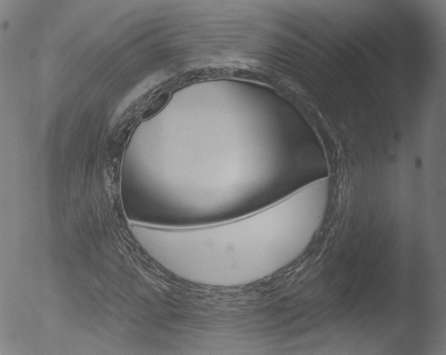 X0000052981064200507080851