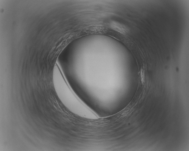 X0000052981107200507080849