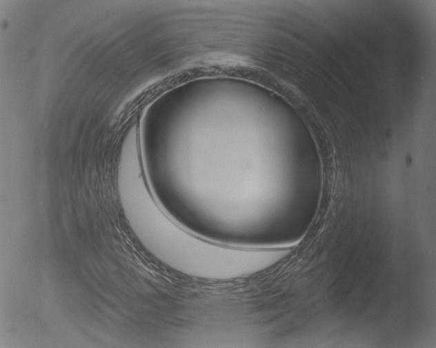 X0000052981112200507080849