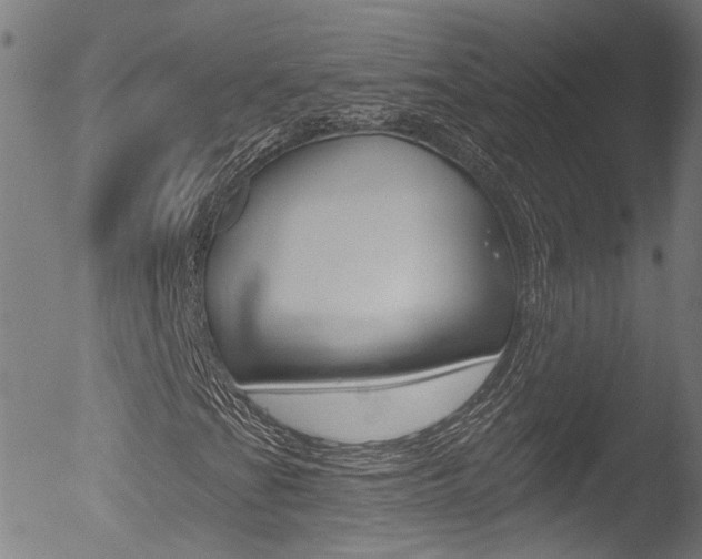 X0000052981201200507080848