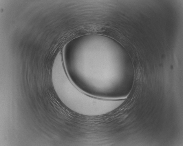 X0000052981202200507080848