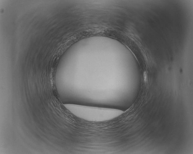X0000052981203200507080848