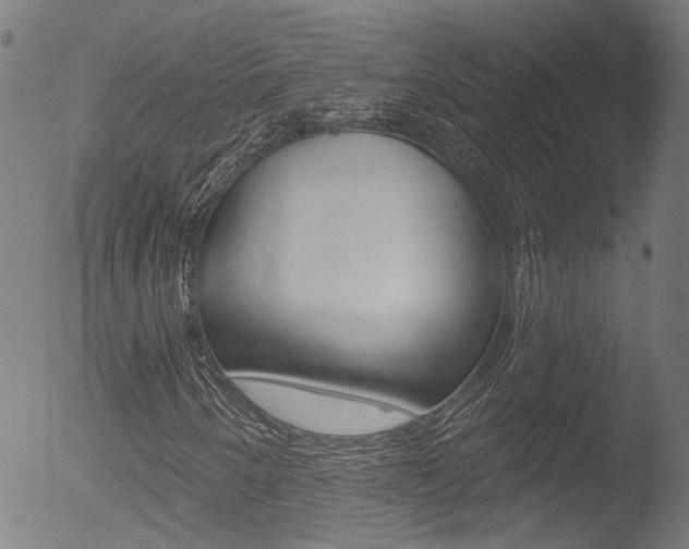 X0000052981250200507080848