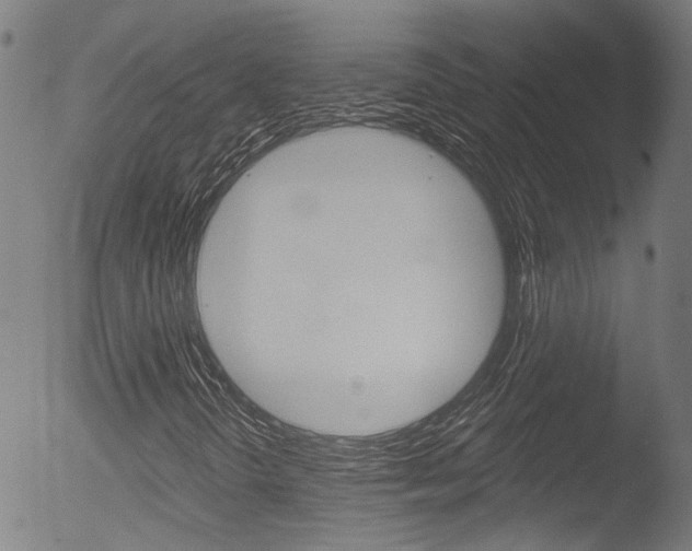X0000052981298200507080846