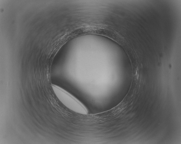 X0000052981348200507080846