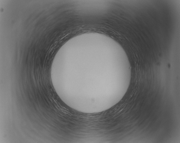 X0000052981394200507080844