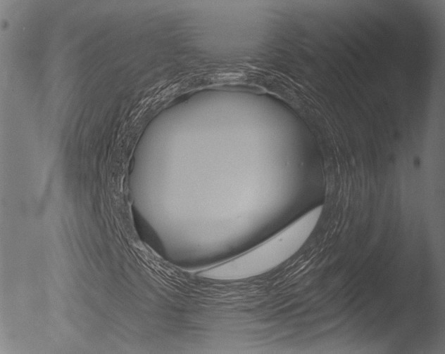 X0000052981441200507080844
