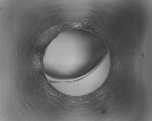 X0000052981442200507080844