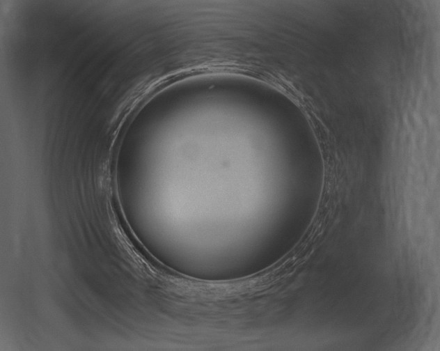 X0000052980002200507081135