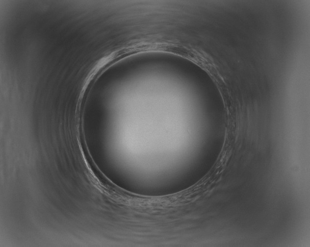 X0000052980003200507081135