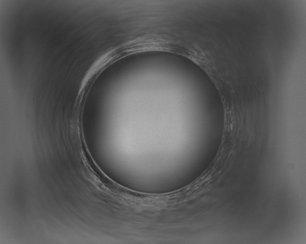 X0000052980004200507081135