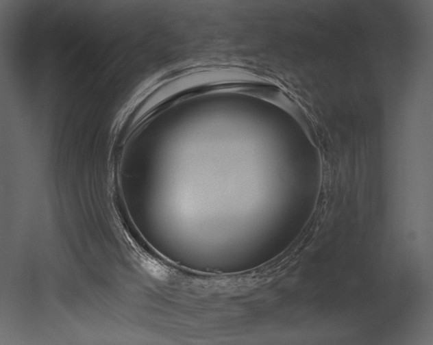 X0000052980005200507081135