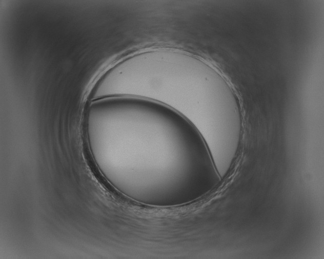 X0000052980007200507081135