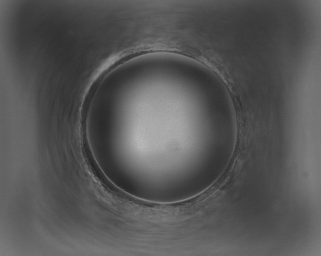 X0000052980008200507081135