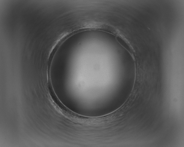 X0000052980011200507081135