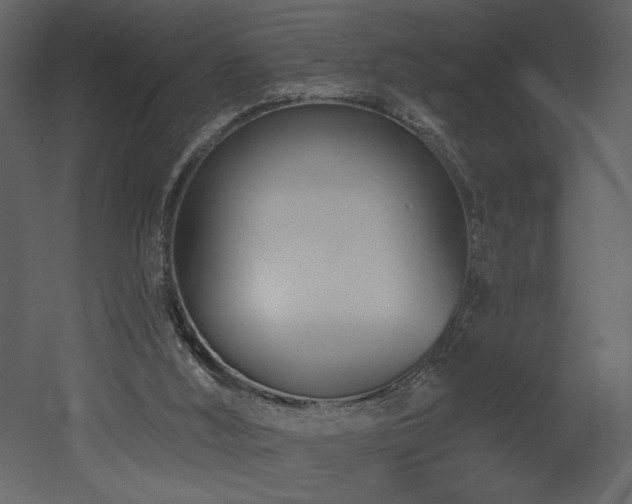 X0000052980012200507081135