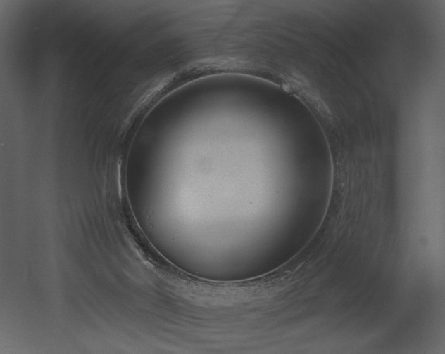 X0000052980014200507081135