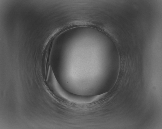 X0000052980015200507081135