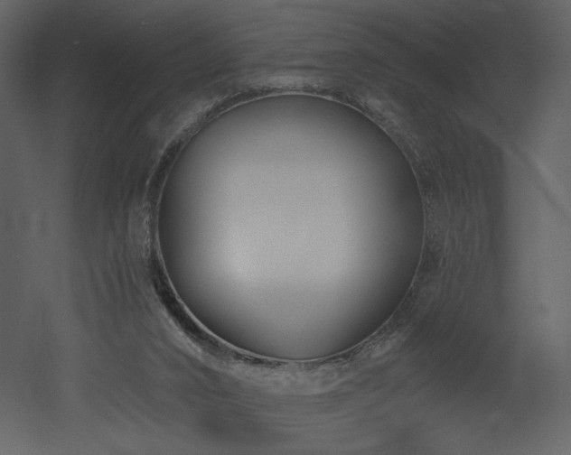 X0000052980016200507081135