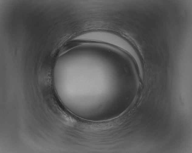 X0000052980017200507081135