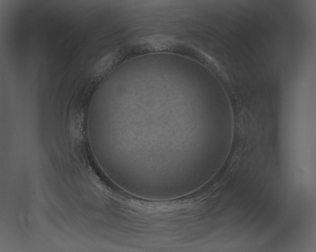 X0000052980018200507081135