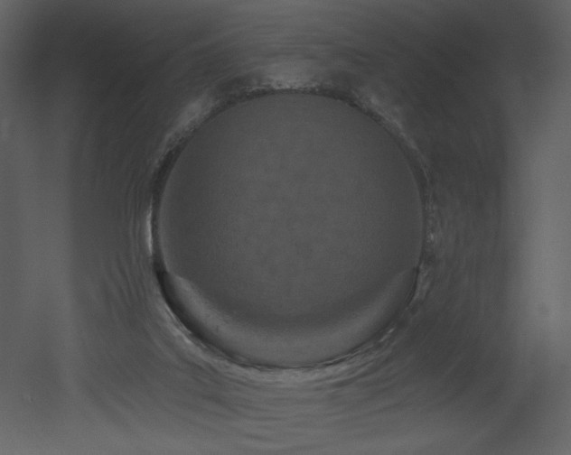 X0000052980019200507081135