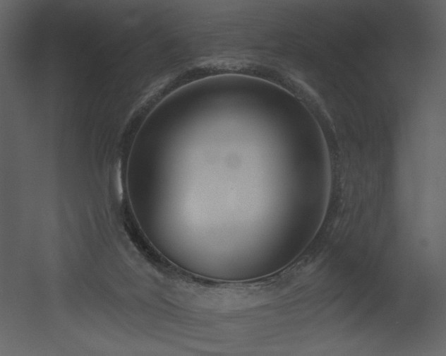 X0000052980020200507081135