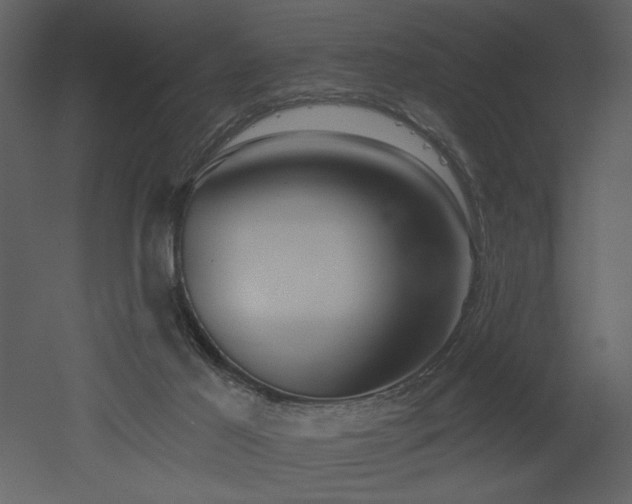X0000052980021200507081135