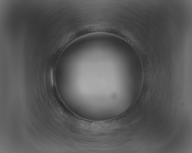 X0000052980022200507081135