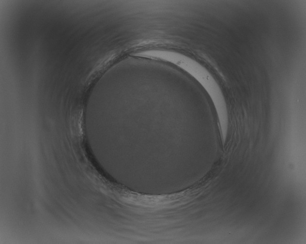 X0000052980023200507081135