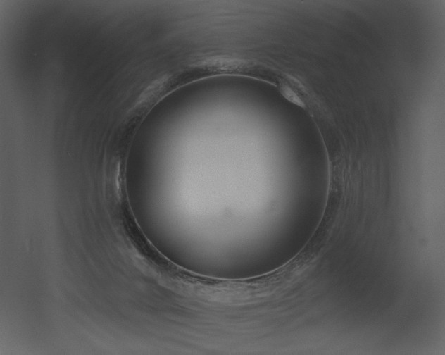 X0000052980024200507081135