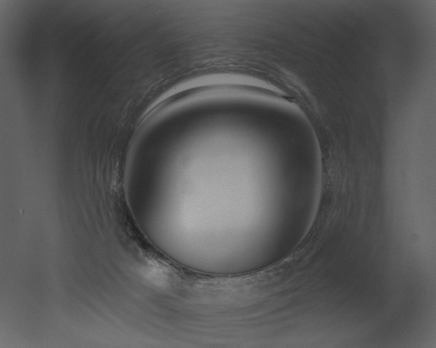 X0000052980025200507081135