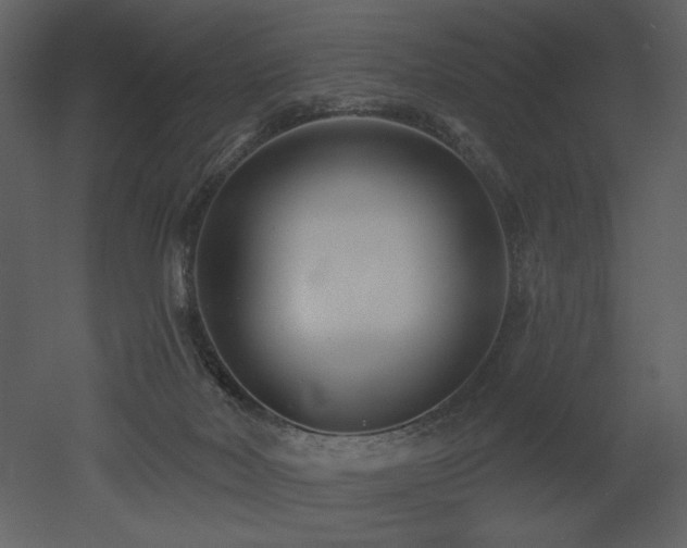 X0000052980026200507081134