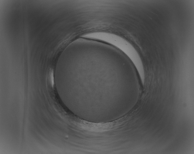 X0000052980027200507081134