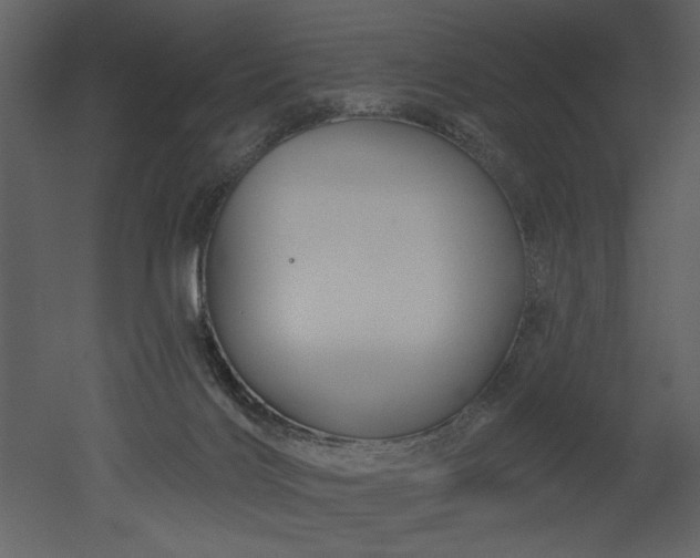 X0000052980028200507081134