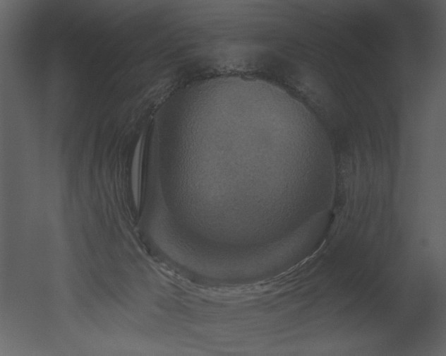 X0000052980029200507081134