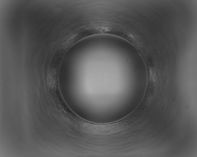 X0000052980030200507081134