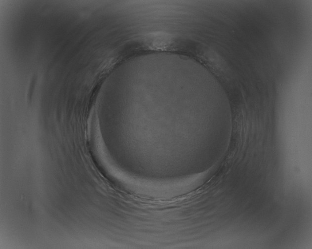 X0000052980031200507081134