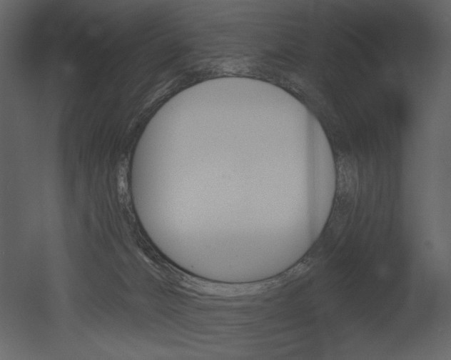 X0000052980032200507081134