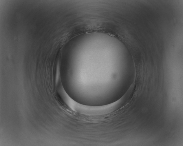 X0000052980033200507081134